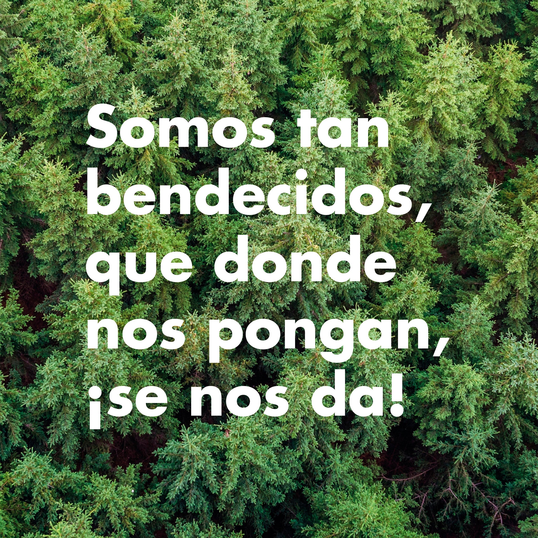 "Somos tan bendecidos"- Print